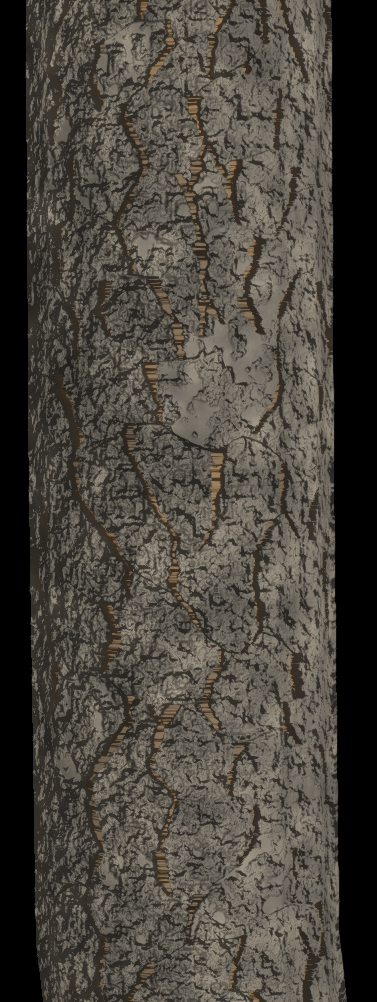 Shallow Vertical Fissures