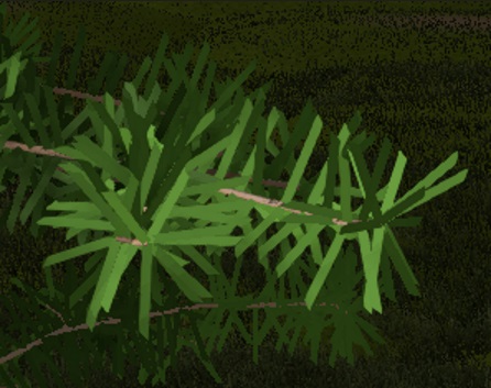 Three Whorls Needles