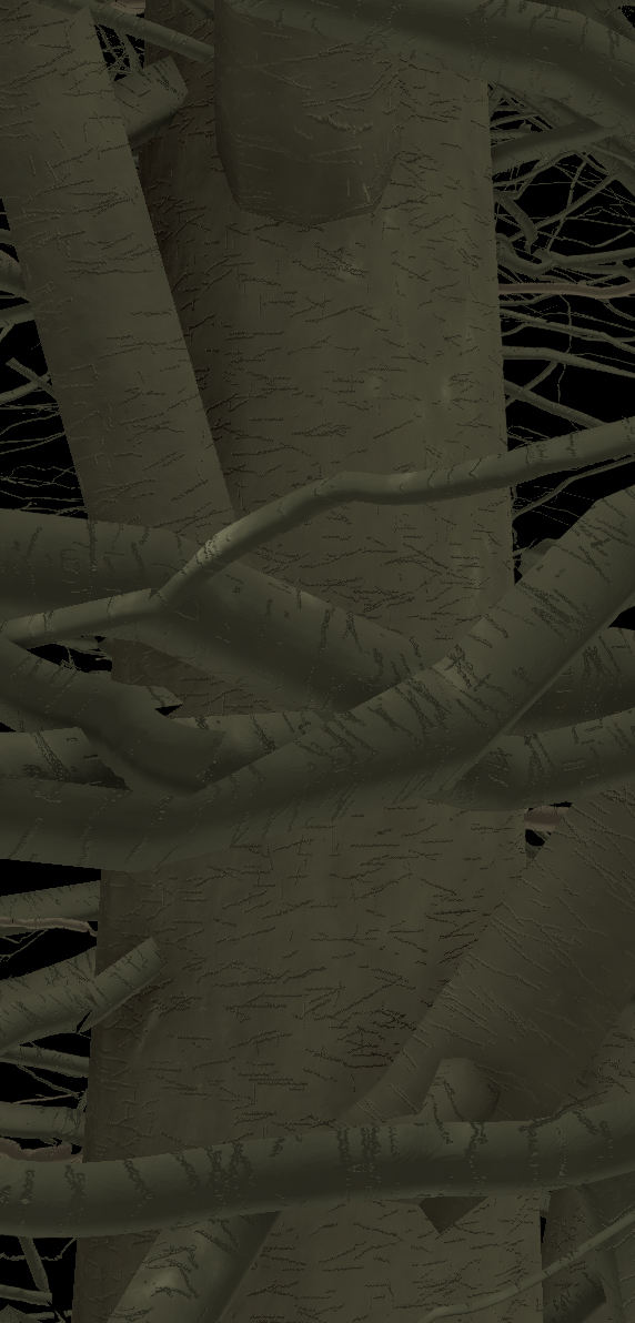 American Hornbeam Bark