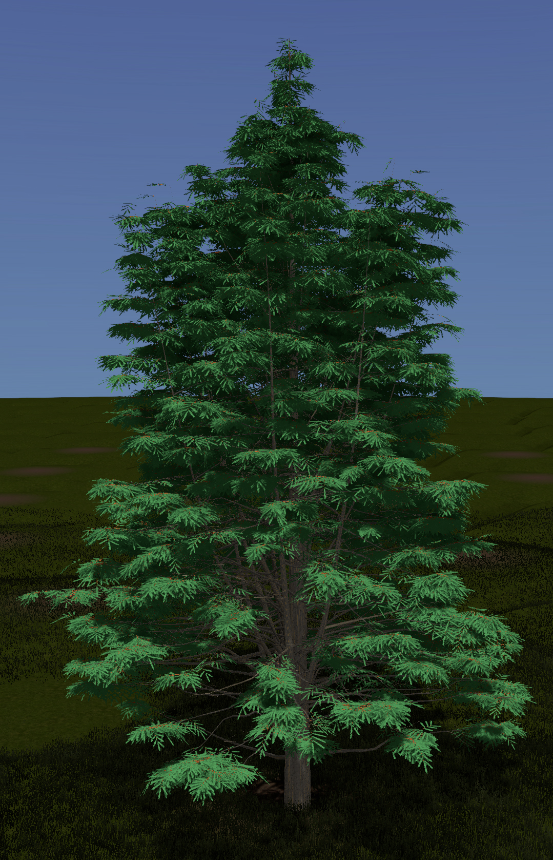 Baldcypress