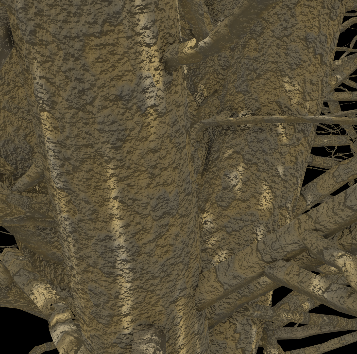 Carolina Silverbell Bark