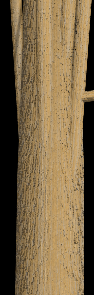 Chinese Juniper Bark