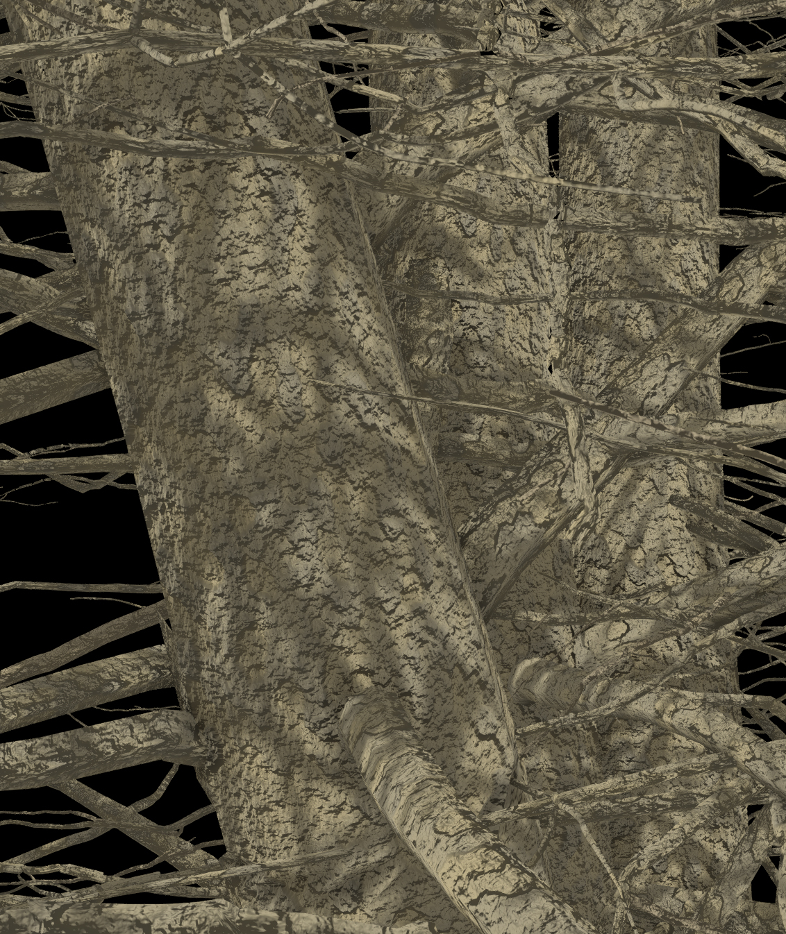 Cockspur Hawthorn Bark