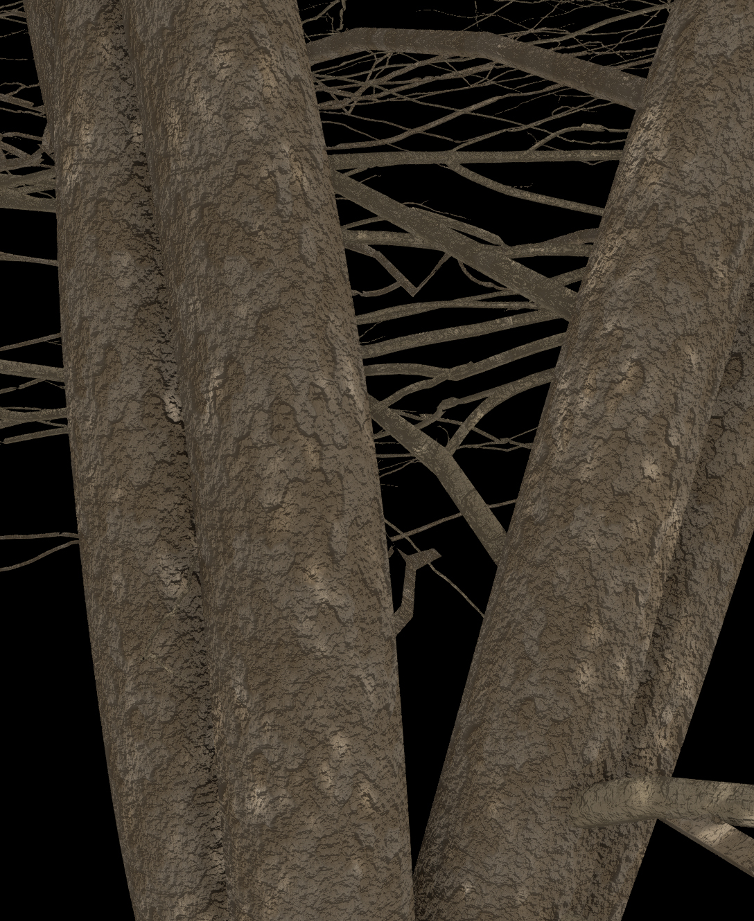 Dotted Hawthorn Bark