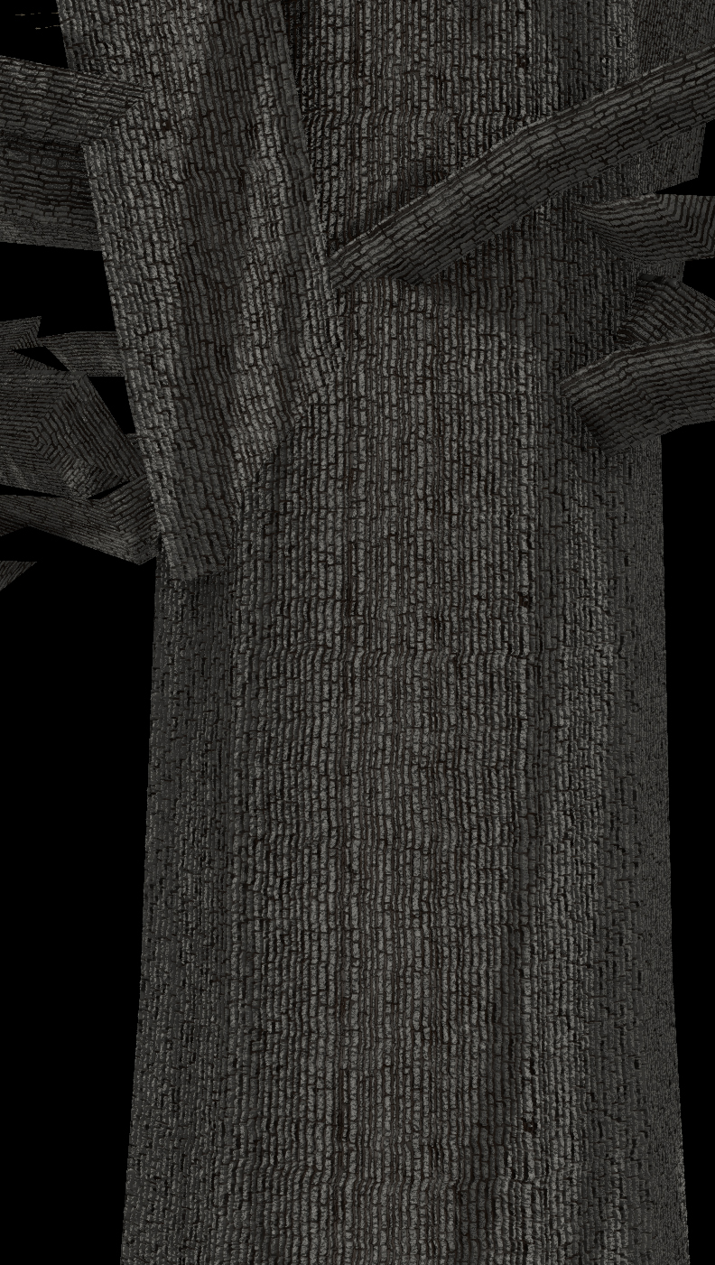 Eastern Cottonwood Bark