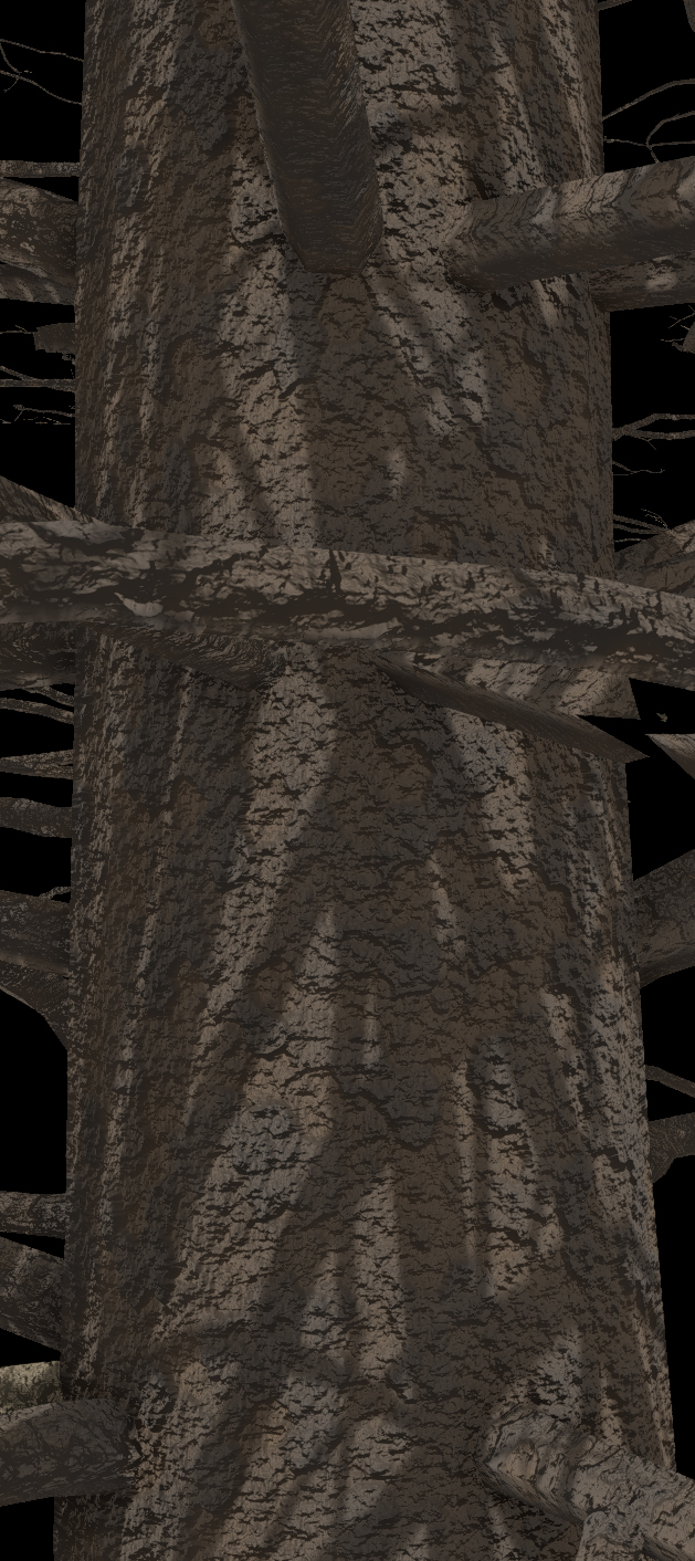 Engelmann Spruce Bark