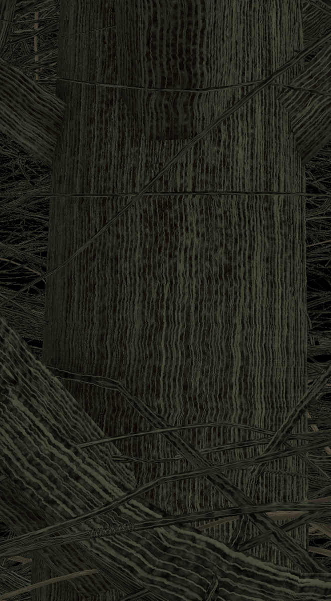 European Hornbeam Bark