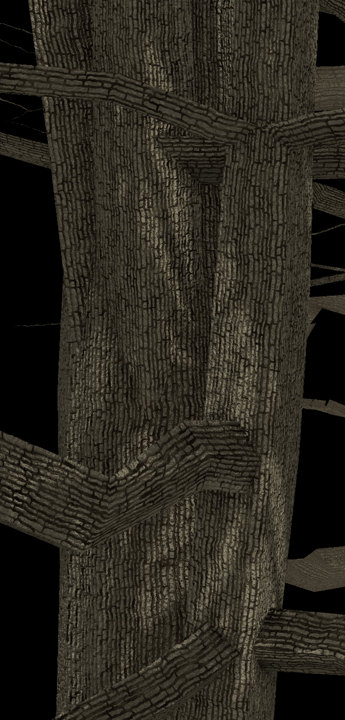 Kentucky Coffee Tree Bark