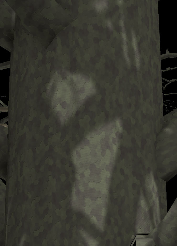 London Planetree Bark