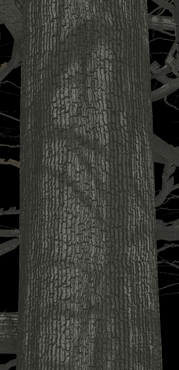 Northern Pin Oak Bark