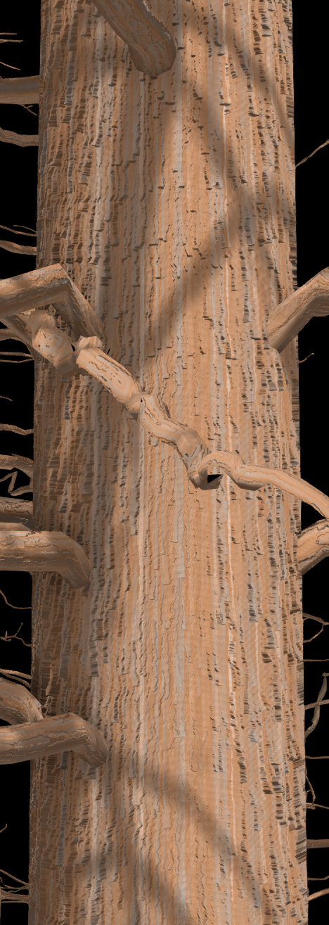 Prickly Juniper Bark