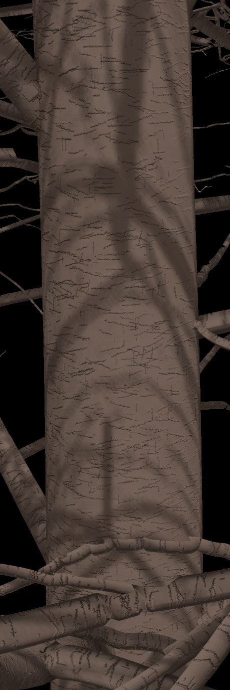 Rusty Blackhaw Viburnum Bark