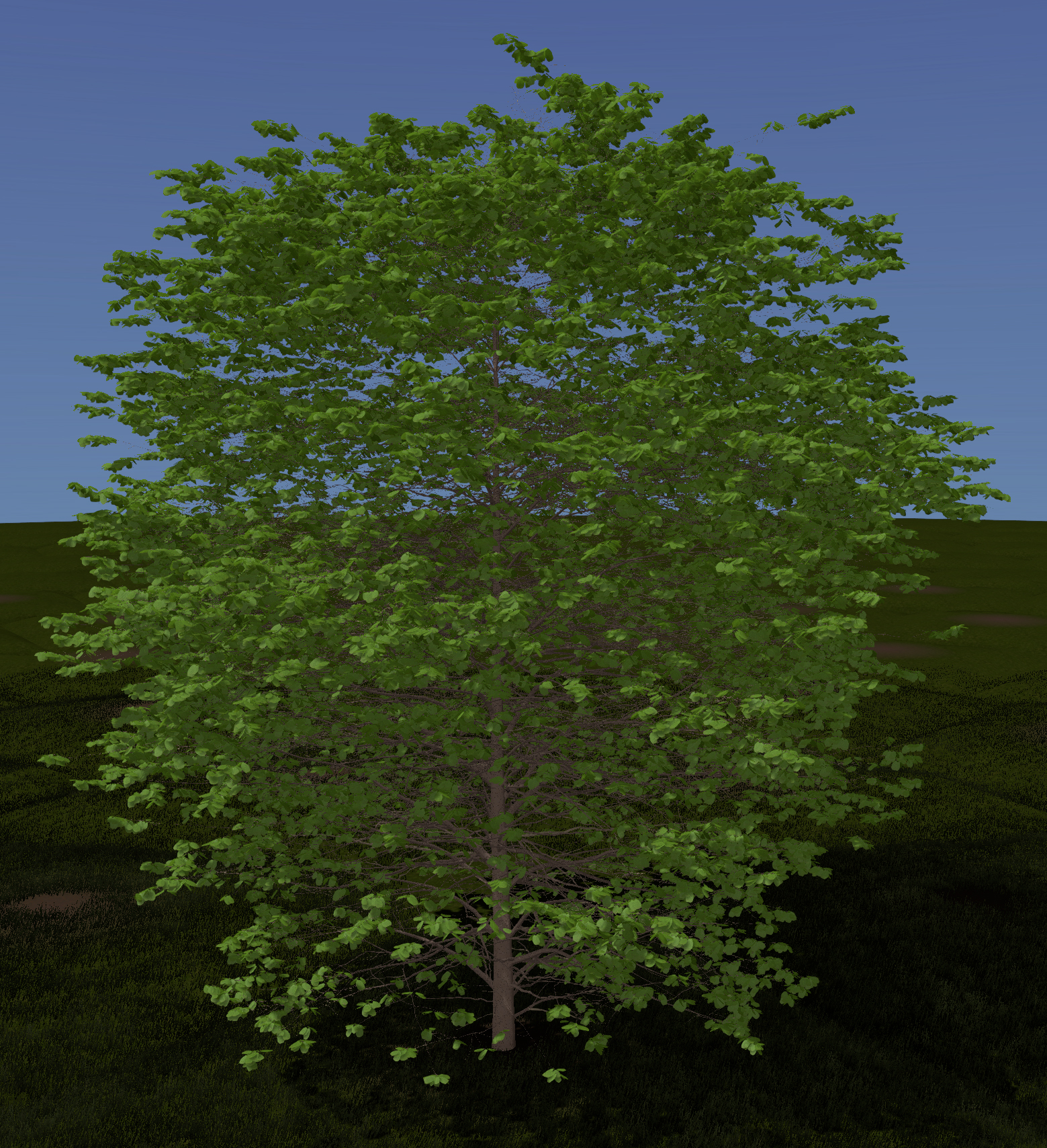 Rusty Blackhaw Viburnum