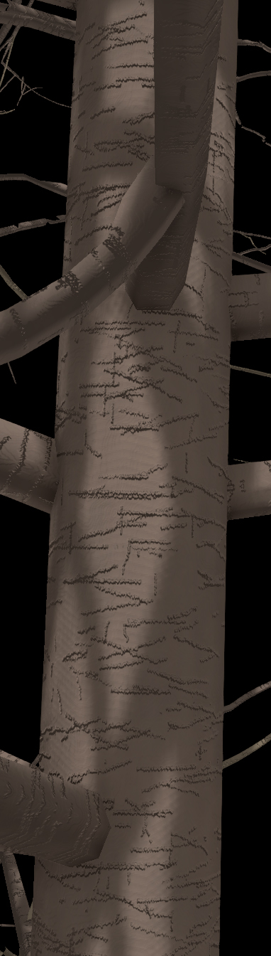 Showy Mountainash Bark