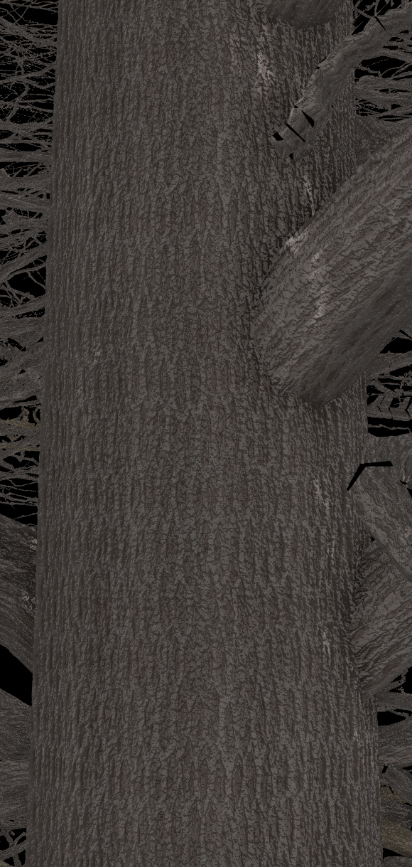 Swamp White Oak Bark