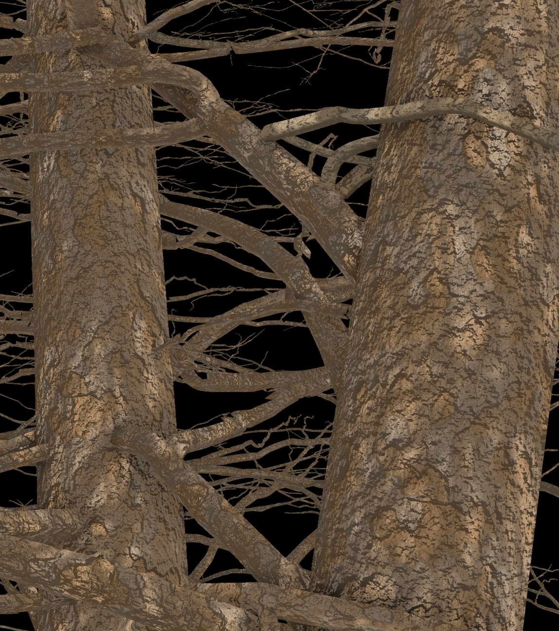 Washington Hawthorn Bark