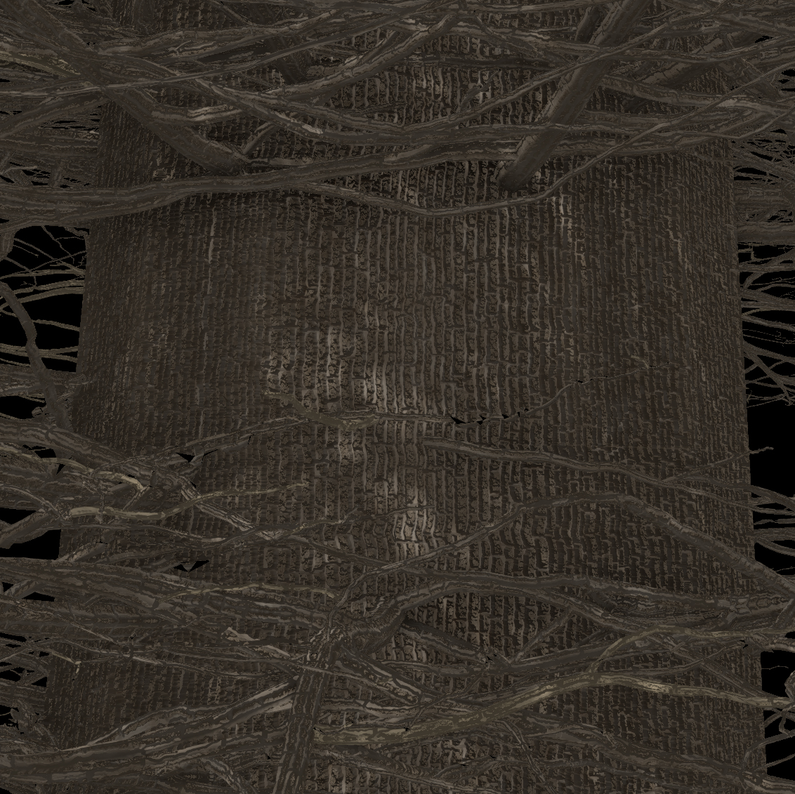 Western Hemlock Bark